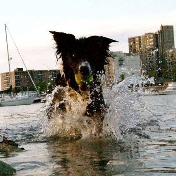 Meet your Posher, David - Picture 1 of 1